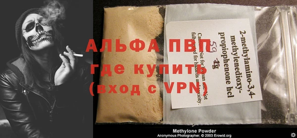 гашик Алексин