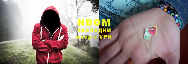 гашик Алексин