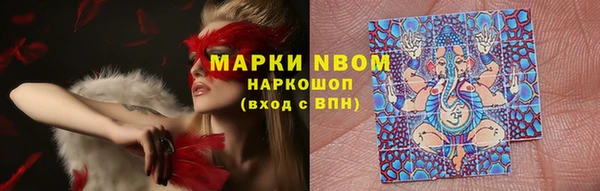 гашик Алексин